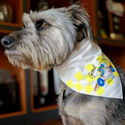 Good Doggy Bandana